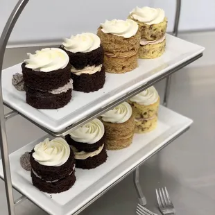 Wedding cake tasting! (Cookies and cream cake, espresso chocolate cake, cookie butter cake and snickerdoodle cake)