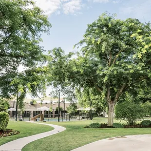 Welcome to Swell Swim School!