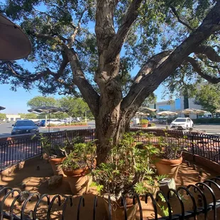 Outdoor seating area