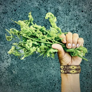 We source the freshest local products