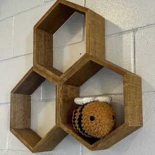 honeycombs on a wall