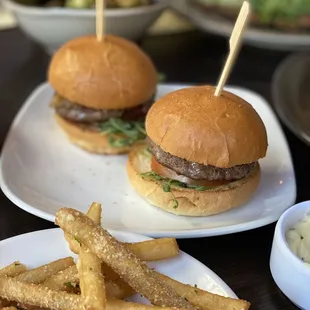 Sliders &amp; fries