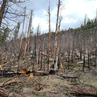 so sad all the fire damage