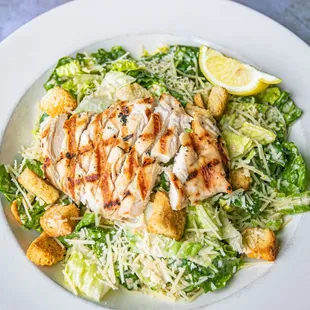 Chicken Caesar Salad