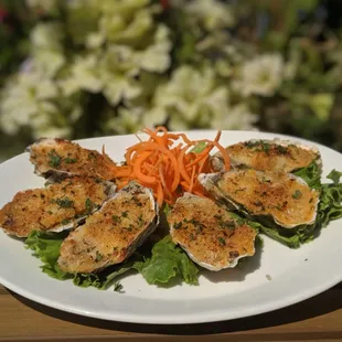 Fresh oyster dish at Swinomish Sports Bar &amp; Grill