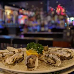 Fresh oyster dish at Swinomish Bar &amp; Grill!