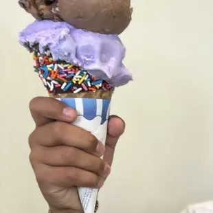 Sprinkle cone with Rocky road and taro ice cream