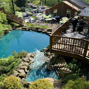 a view of the pool and patio area