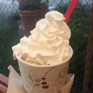 Swissvale swirl with peanut butter cups in pumpkin fall soft serve!