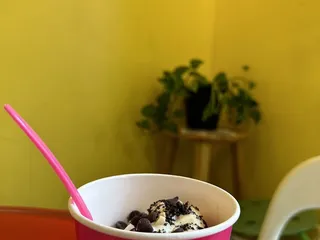 Berry Fresh Frozen Yogurt
