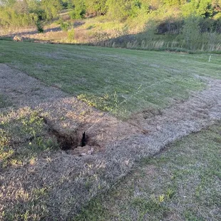 The after picture of dead sod and holes created when  they dug up or established grass and left our sprinklers with only dirt.