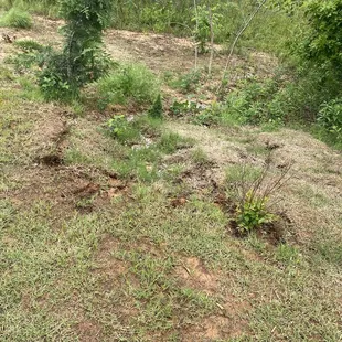 Collapsed hill from running heavy equipment over our yard to go from one property to the next.