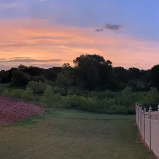 Crossing the property line after ripping up our grass