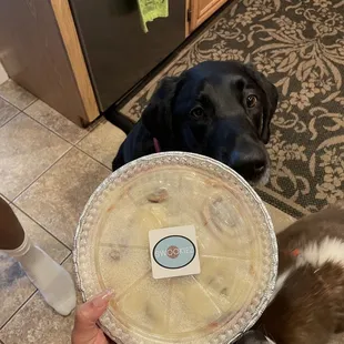 Even the doggies wanted some!