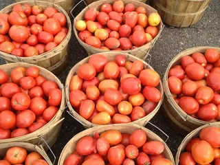 Farmers Market East Liberty