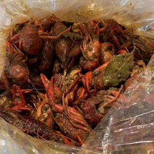 oysters and mussels, food, shellfish, mussels, oysters