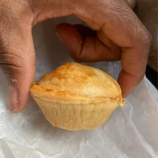 Guyanese Chicken Empanada
