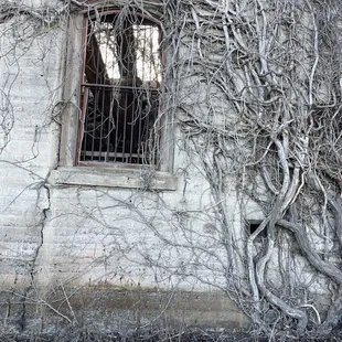 Winery Ruins