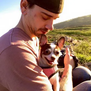 My chihuahua loves it here.