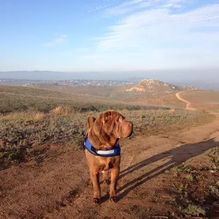 Awesome views and great hiking spot.