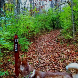 Sycamore Park