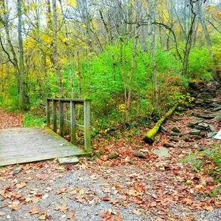 Trail
