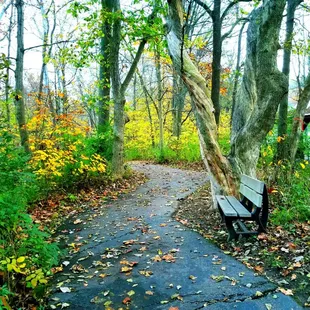 Paved trail