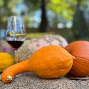 a glass of wine and gourds