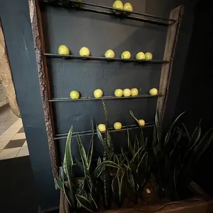 a display of lemons