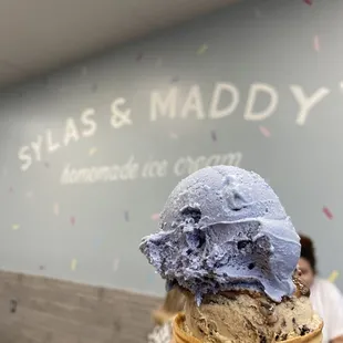 Blueberry and Maddy's Mug ice cream in a waffle cone