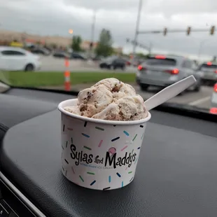 Turtle Ice Cream Cup - yummy