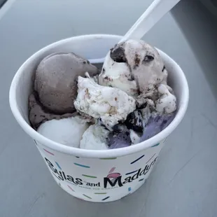 Sylas &amp; Maddy's 5-scoop Sampler Cup for the undecided!