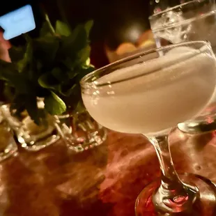 Margarita Djuour