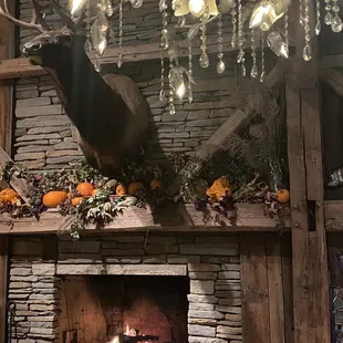 Fall interior