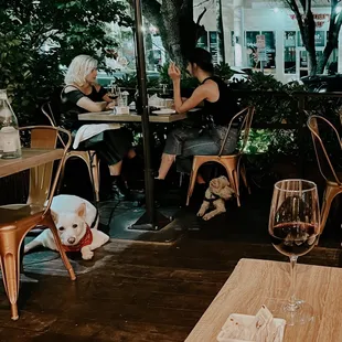 a woman sitting at a table with a dog