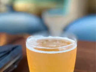 Steady Brewing