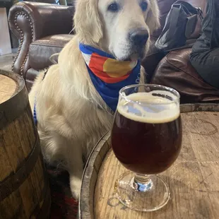 Nice variety of beers on tap and dog friendly.