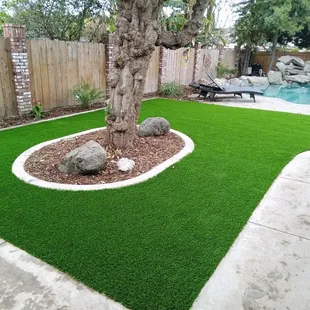 Everglade Fescue installed