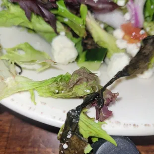 Old salad  dried leaves of lettuce