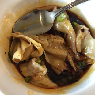 Spicy Pork Dumplings