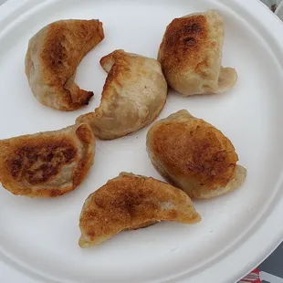 Pot Stickers
