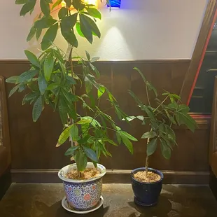 interior, ramen and noodles