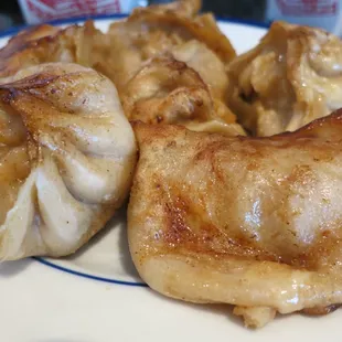 Fried Dumplings