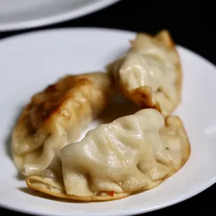 Fried Dumplings