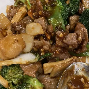 Broccoli Beef with Mixed Vegetables