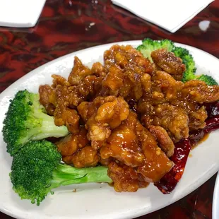 General TSO chicken.....lunch size