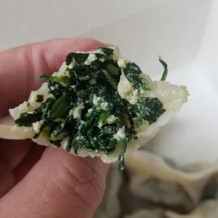 Inside a vegetable and tofu dumpling