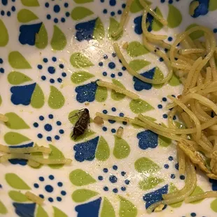 A roach was found in the Singapore Rice Noodles.   never go back again!