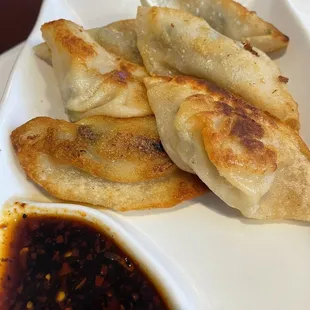 Pan Fried Pork and Chive Dumplings (6)
