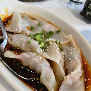 Szechuan Dumplings
